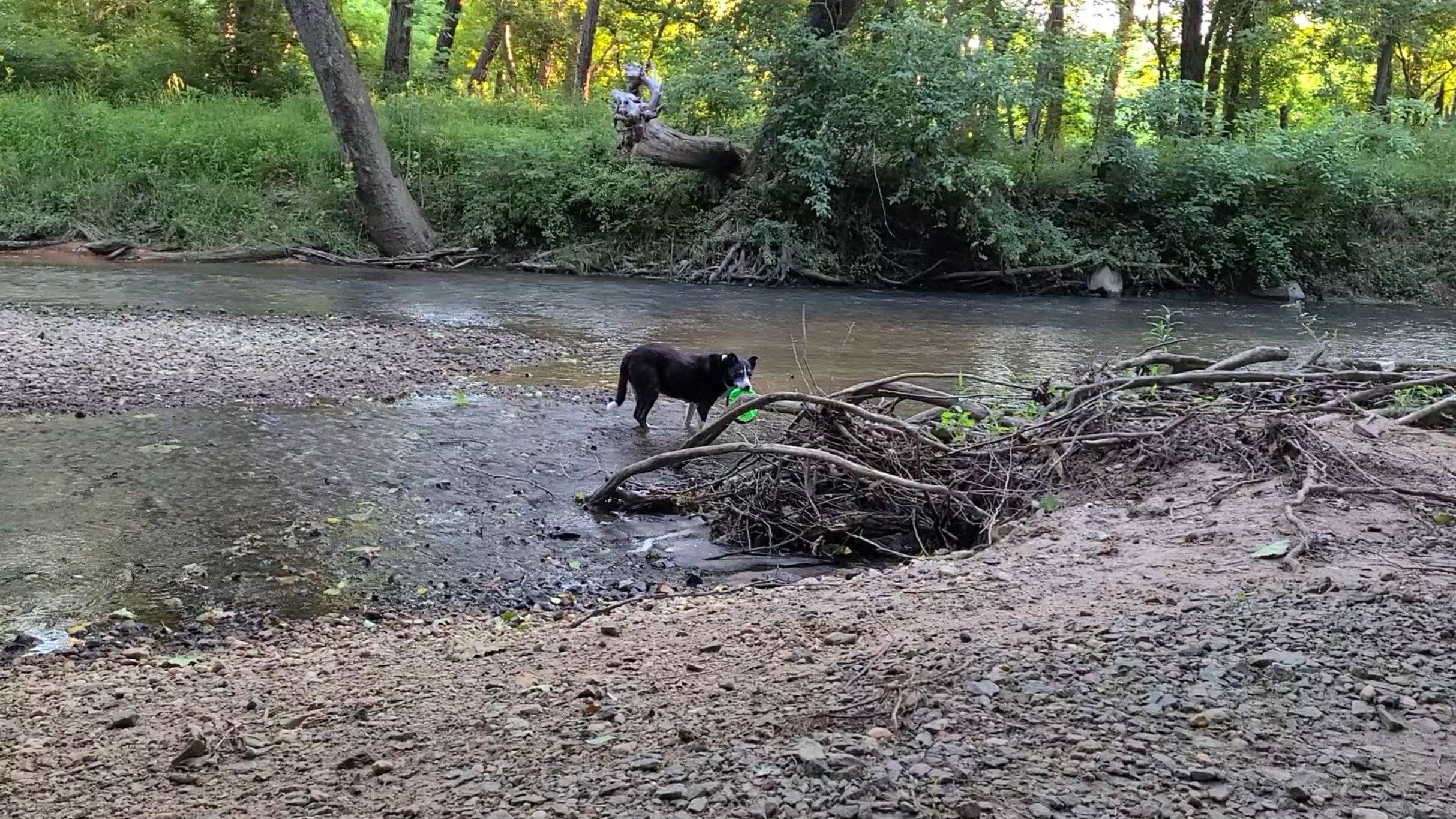 Dunk and Retrieve